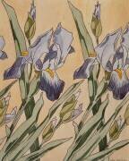 Iris (Koloman Moser) - Muzeo.com