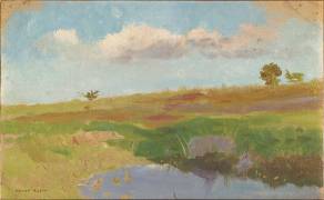 Lande avec une mare (Odilon Redon) - Muzeo.com