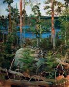 Landscape near Lake Jamajärvi (Akseli Gallen-Kallela) - Muzeo.com