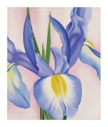 Lavender Iris, 1952 (Georgia O'Keeffe) - Muzeo.com