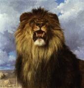 Lion's Head (Rosa Bonheur) - Muzeo.com