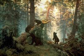 Morning in a pine forest (Ivan Chichkine) - Muzeo.com