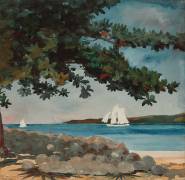 Nassau : Water and Sailboat (Winslow Homer) - Muzeo.com