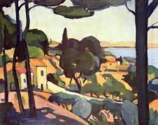 Near Cassis, 1906 (oil) (André Derain) - Muzeo.com