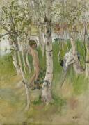 Nude Boy among Birches (Carl Larsson) - Muzeo.com
