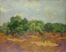 Olive Trees (Vincent van Gogh) - Muzeo.com