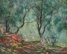 Olive Trees in the Moreno Garden (Claude Monet) - Muzeo.com