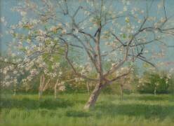 Orchard trees in blossom (Laszlo Mednyanszky) - Muzeo.com