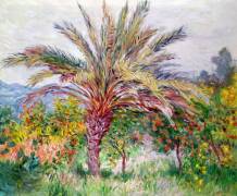 Palm Tree at Bordighera (Claude Monet) - Muzeo.com
