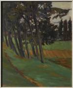 Porto, les eucalyptus (Jean-Baptiste Bassoul) - Muzeo.com