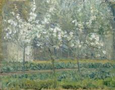 Printemps. Pruniers en fleurs, dit : Potager, arbres en fleurs, printemps, Pontoise (Camille Pissarro) - Muzeo.com