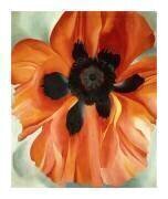 Red Poppy, No. VI, 1928 (Georgia O'Keeffe) - Muzeo.com