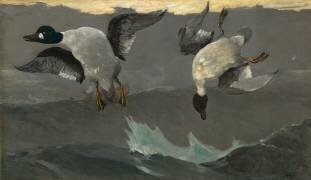 Right & Left (Winslow Homer) - Muzeo.com