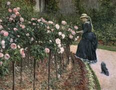 Roses in the Garden at Petit-Gennevilliers (Gustave Caillebotte) - Muzeo.com