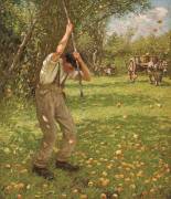 Shaking Down Cider Apples (Henry Herbert la Thangue) - Muzeo.com