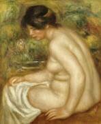Side view of a seated bather (Auguste Renoir) - Muzeo.com