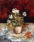 Still-life Pot of Geraniums (Vincent van Gogh) - Muzeo.com