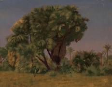 Study of Palm Trees (Jean-Léon Gérôme) - Muzeo.com
