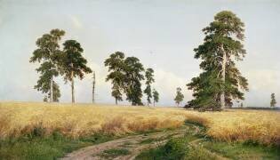 The Field of Wheat (Ivan Chichkine) - Muzeo.com
