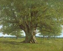 The Flagey Oak Tree (Gustave Courbet) - Muzeo.com