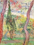 The Garden of St. Paul's Hospital (Vincent van Gogh) - Muzeo.com