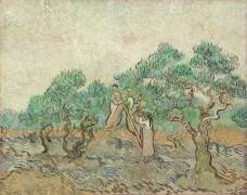 The Olive Orchard (Vincent van Gogh) - Muzeo.com