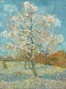 The Pink Peach Tree (Vincent van Gogh) - Muzeo.com