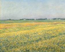The Plain of Gennevilliers, Yellow Fields (Gustave Caillebotte) - Muzeo.com