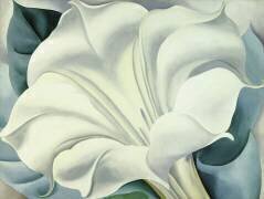 The White Flower (White Trumpet Flower) 1932 (Georgia O'Keeffe) - Muzeo.com