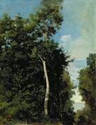 The Wood on the Cote de Grace in Honfleur (Jean-Baptiste Camille Corot) - Muzeo.com