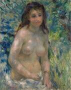 Torse, effet de soleil (Auguste Renoir) - Muzeo.com