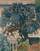 Tree by the River (Pierre Bonnard) - Muzeo.com