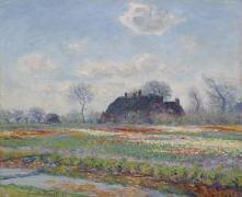 Tulip Fields at Sassenheim (Claude Monet) - Muzeo.com