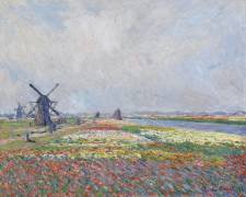 Tulip fields near The Hague (Claude Monet) - Muzeo.com