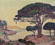 Umbrella Pines at Caroubiers (Paul Signac) - Muzeo.com