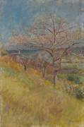 Valley with trees in bloom (Laszlo Mednyanszky) - Muzeo.com