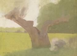 Vieil arbre dans une prairie (Odilon Redon) - Muzeo.com