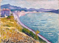 View of Saint-Jean-de-Luz (Albert Marquet) - Muzeo.com
