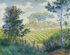 Vineyards under the Pines (Paul-Elie Ranson) - Muzeo.com
