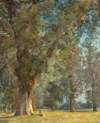 Vue du Prater à Vienne (avec arbre à gauche) (Ferdinand Georg Waldmüller) - Muzeo.com