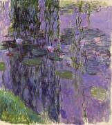 Water lillies (Claude Monet) - Muzeo.com