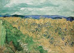 Wheatfield with Cornflowers (Vincent van Gogh) - Muzeo.com