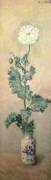 White Poppy (Claude Monet) - Muzeo.com