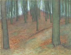 Wood with Beech Trees (Piet Mondrian) - Muzeo.com