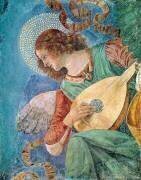 Angel Musician (Melozzo da Forli) - Muzeo.com