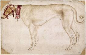 Chien muselé et portant un collier, debout, de profil vers la gauche (Pisanello) - Muzeo.com