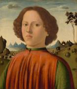 Portrait of a Boy (Biagio di Antonio Tucci) - Muzeo.com