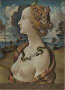 Portrait of Simonetta Vespucci (Piero di Cosimo) - Muzeo.com
