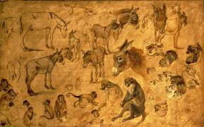Study of Donkeys (Jan Brueghel the Elder) - Muzeo.com
