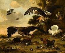 Aigles attaquant des poules (Melchior de Hondecoeter) - Muzeo.com
